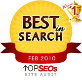 Website Audit Awards