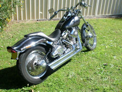 Harley Softail for Sale