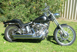 Softail for Sale