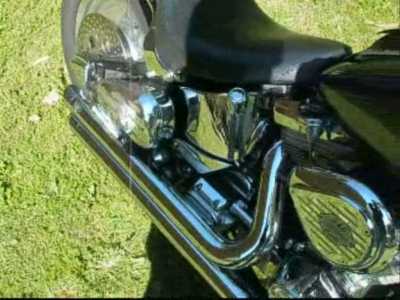 Softail for Sale